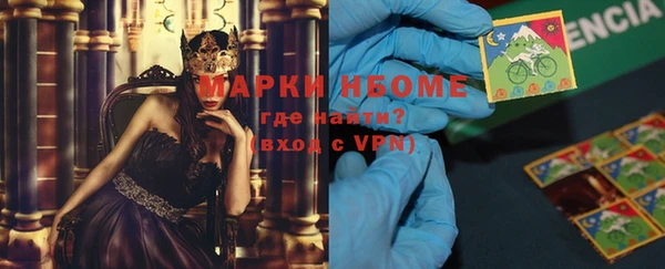крисы Елабуга