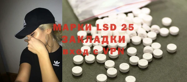 крисы Елабуга
