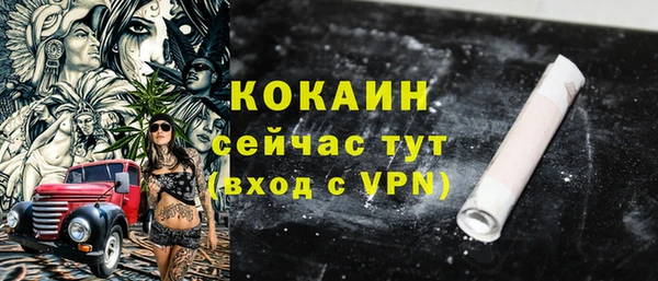 крисы Елабуга