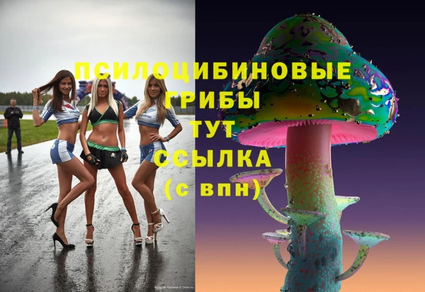 крисы Елабуга