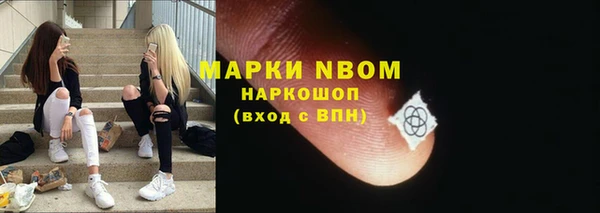 крисы Елабуга