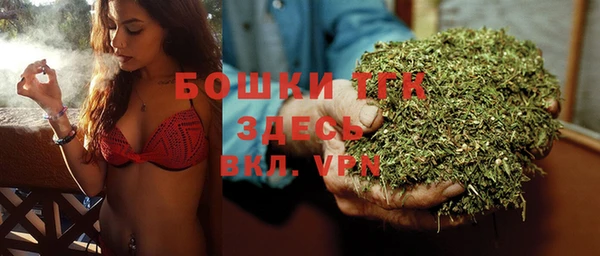 крисы Елабуга