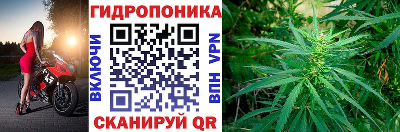 Купить где  Очёр  Конопля MAZAR 